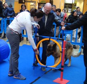 Al Centro Commerciale Due Mari un weekend dedicato agli amici a 4 zampe!