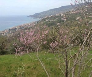 Sarà presentato il progetto per l’autismo “Le terre di Mare con Federico“