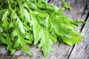 Rucola richiamata per possibile presenza di salmonella. Ecco lotto e info