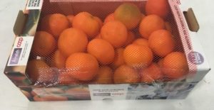 Le Clementine di Calabria sulla tavola di Papa Francesco