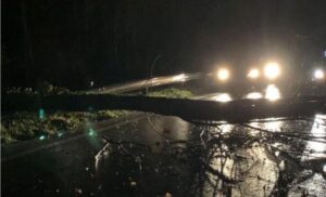 Tempesta nella notte in Calabria, alberi caduti e disagi