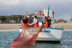 Pesca della sardella: la Regione dà il via alla campagna sperimentale