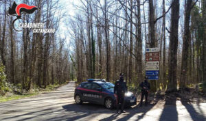 Girifalco, 46enne arrestato per furto di legname