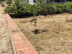 Vitambiente supporta con il suo “marchio green” il Giardino Botanico Mediterraneo dei Cantieri Nautici Ranieri