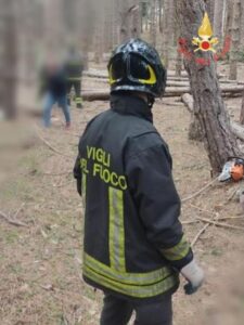 Giovane di 33 anni perde la vita travolto da un albero che stava tagliando