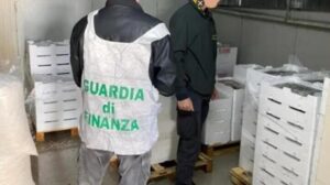 500 Kg di novellame di sarda sbarcato dalla Calabria a Messina, sequestrato