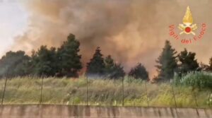 Vasto incendio di vegetazione nel quartiere marinaro di Catanzaro