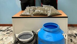 Sequestrati dai carabinieri 1,5 kg di marijuana, erano in un fusto di plastica