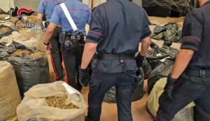 Maxi sequestro di droga, tre tonnellate di marijuana rinvenute dai carabinieri