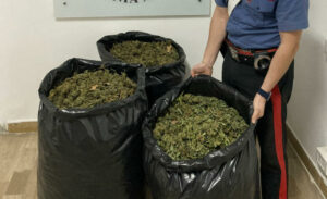 Sequestrati dai carabinieri 23 kg di marijuana, quattro arresti