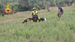 Cavallo precipita in un dirupo di trenta metri, salvato dai vigili del fuoco