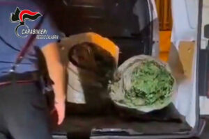 Intervengono per un incidente e scoprono 72 kg di marijuana, 26enne arrestato