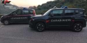 Smaltimento illecito di rifiuti, 10 titolari di frantoi denunciati