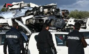 Officina abusiva in un terreno con capi di bestiame non tracciati, scatta la denuncia