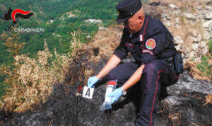 Incendio nella Presila Catanzarese, coniugi denunciati