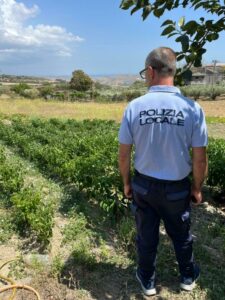 Sprechi e furti d’acqua a Catanzaro: sequestri e multe per allacci abusivi e uso improprio per l’irrigazione di grandi orti