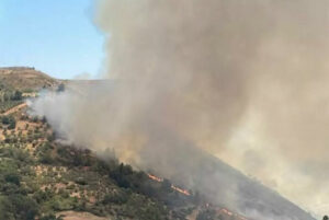 Pensionato 73enne muore nel difendere il suo terreno da un incendio