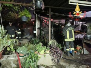 Incendio in una serra/deposito di attività floreale