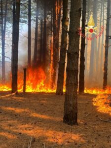 Vasto incendio di bosco e macchia mediterranea