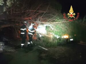 Albero secolare di alto fusto si abbatte su un furgone, illeso il conducente