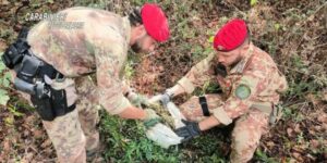 Armi, munizioni e marijuana rivenute e sequestrate dai carabinieri